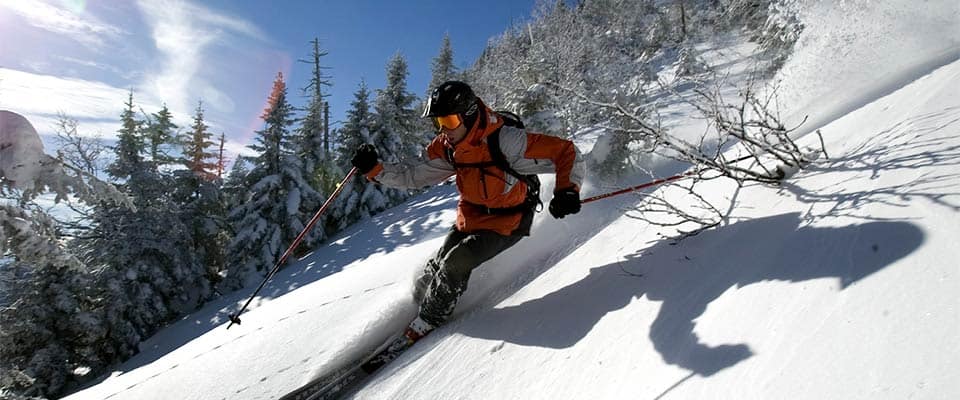 A skilled skier navigating through fresh snow on a steep trail in a snowy mountain landscape with dense evergreen trees under clear blue skies.