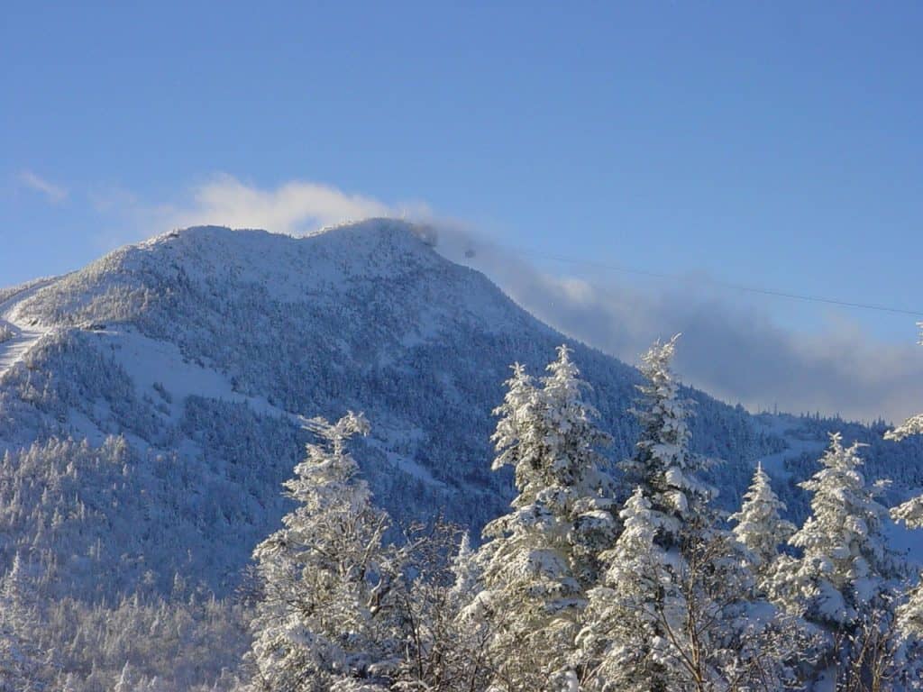 Snow-covered mountain landscape with pine trees under clear blue sky, showcasing winter scenery and nature's beauty.