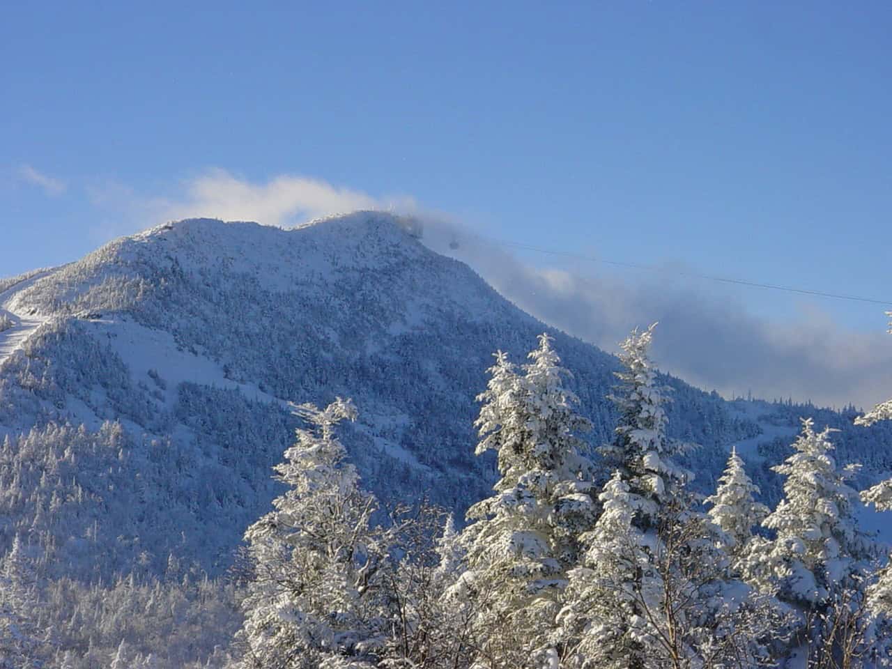 Snow-covered mountain landscape with pine trees under clear blue sky, showcasing winter scenery and nature's beauty.