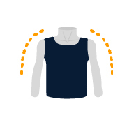 Moderate chest shape